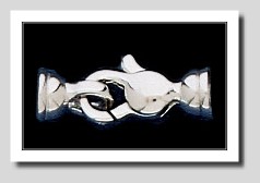 Lobster Claw Clasp with End Cups 14K White Gold For Pearls 4-6MM