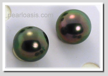 8.5MM Peacock Tahitian Pearl Earring Studs 18K Gold