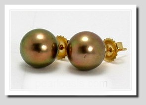 10.1MM Chocalate Brown Tahitian Pearl Earring Studs 14K Yellow Gold