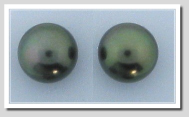 11.40MM Black Tahitian Pearl Earring Studs 18K Gold