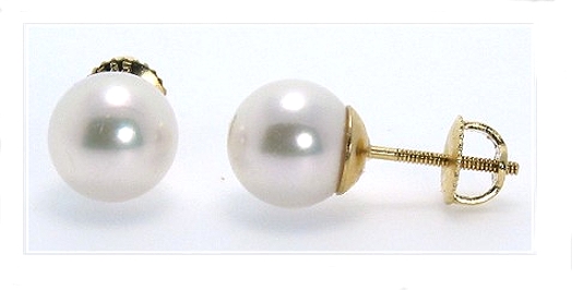 AAA Grade 8-8.5MM White Akoya Pearl Earring Studs 14K Yellow Gold Screw On 