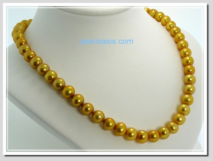 AA+ 8-8.5MM Golden FW Round Pearl Necklace Gold Plated Clasp 16in.