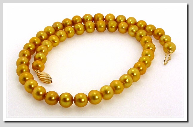 AA+ 8-8.5MM Golden FW Round Pearl Necklace Gold Plated Clasp 16in.