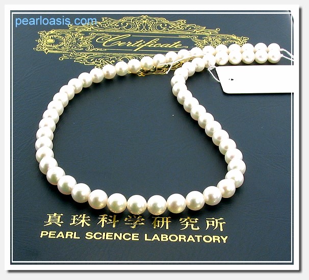 AAAA Certified Hanadama Japanese Cultured Pearl Necklace 6-6.5MM 16in.14K Bow Clasp