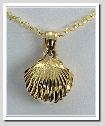 White Akoya Pearl In A Seashell Pendant 14K Yellow Gold