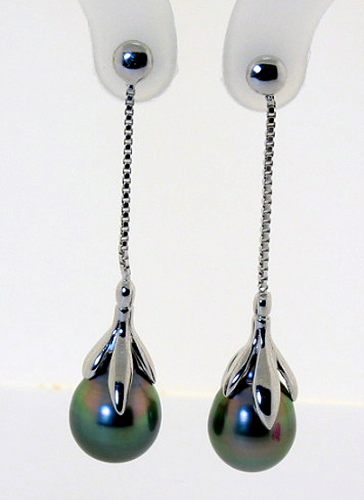 10.1X13.5MM Peacock Tahitian Pearl Drop Earrings, Silver Settings