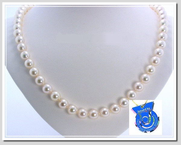 AA 8-8.5MM White Japanese Akoya Cultured Pearl Necklace 14K Clasp