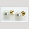 Freshwater Pearl Earring Studs