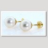 Akoya Pearl Earring Studs